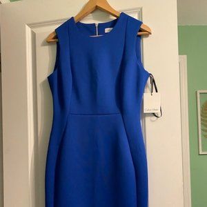 Calvin Klein Electric Blue Dress